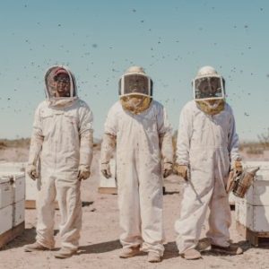 Alfredo Fierro (left, Eagle Eye Honey)
and his collaborators Ubaldo and
Jose wearing protective suits while
tending bees in the Arizona desert
near Wenden. For several years, the
men have had to provide water for
the bees in troughs, otherwise the
colonies would not be able to survive
since there has been less and less
rainfall. 11.03.2022, Wenden, Arizona